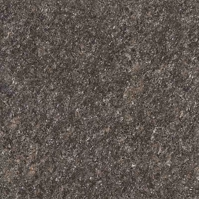 фото Zizel ash