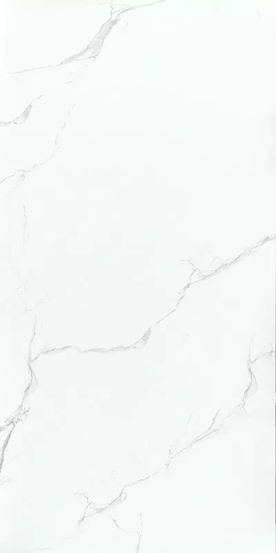фото Silver statuario