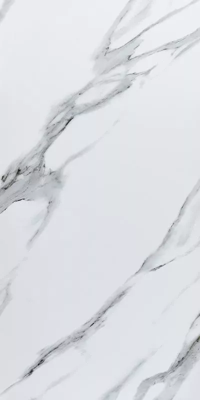 фото Керамогранит элитный Arbescato White
